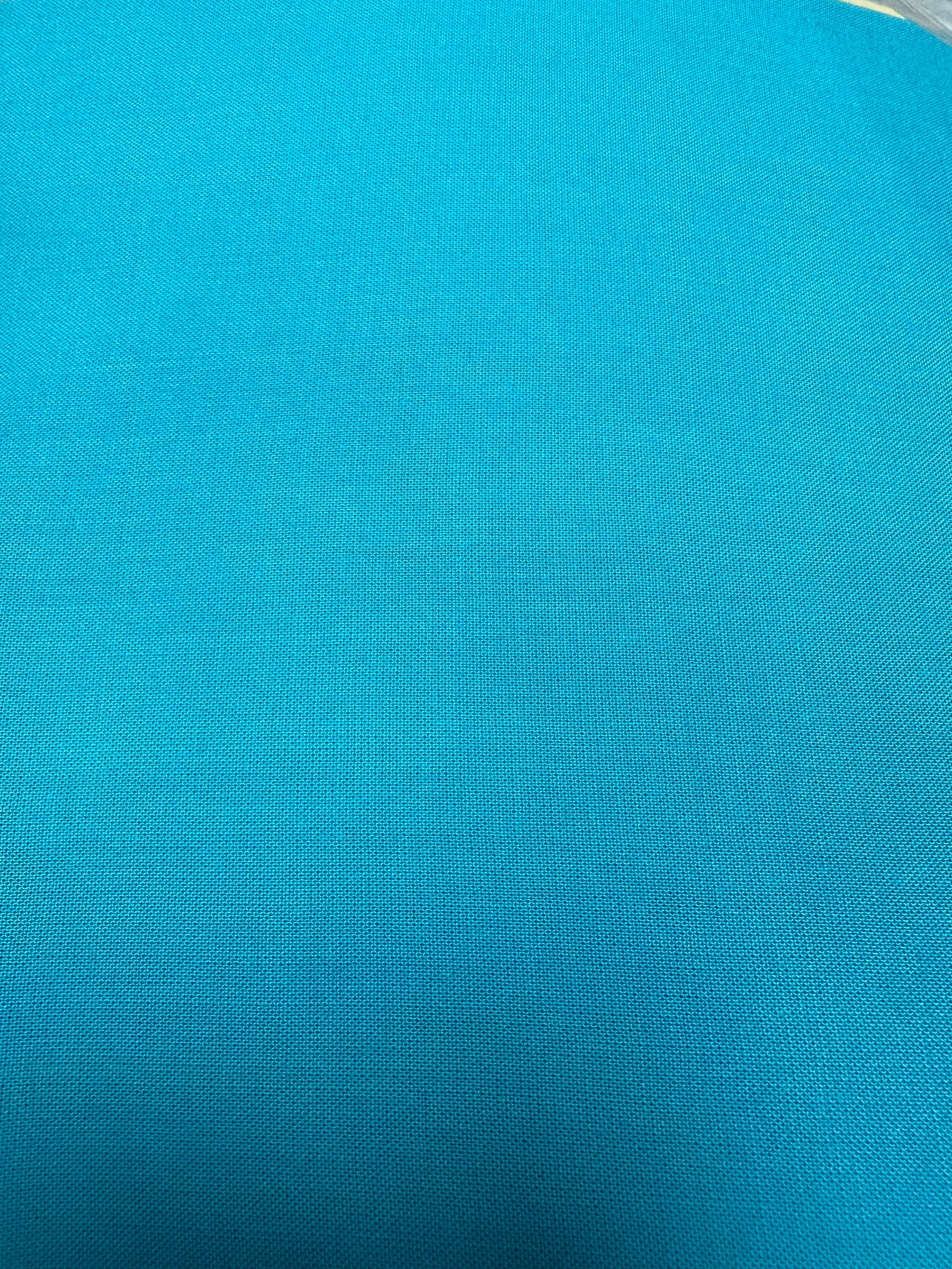 Turquoise Ruffle Sleeve Top